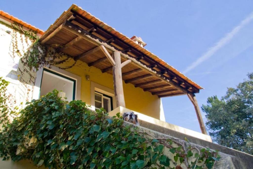Villa Casa da Ruiva Serra Esterno foto
