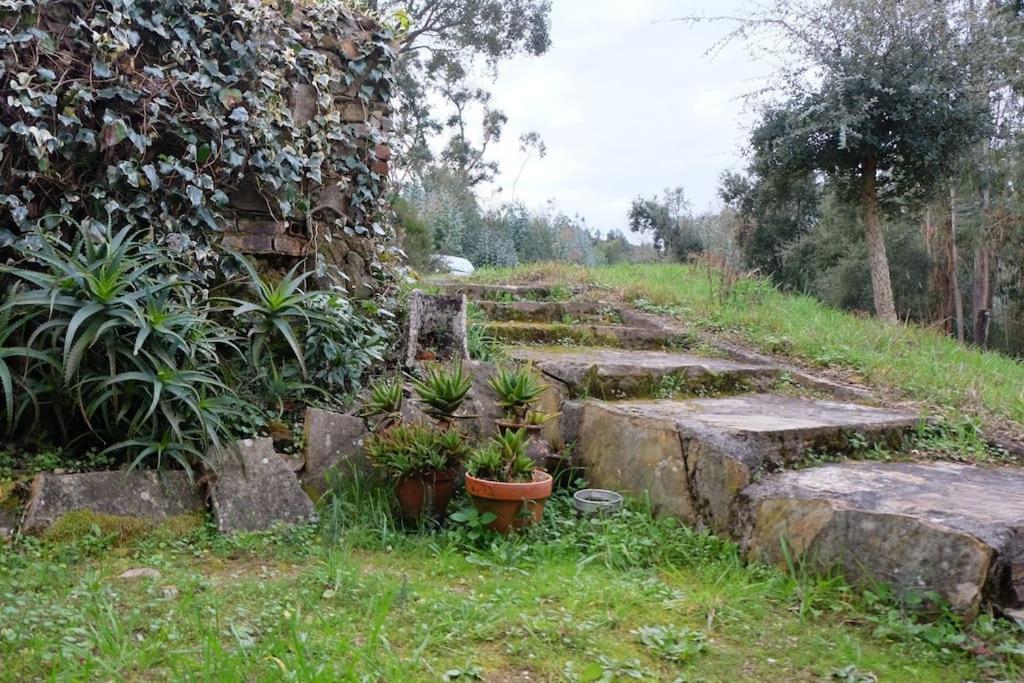 Villa Casa da Ruiva Serra Esterno foto
